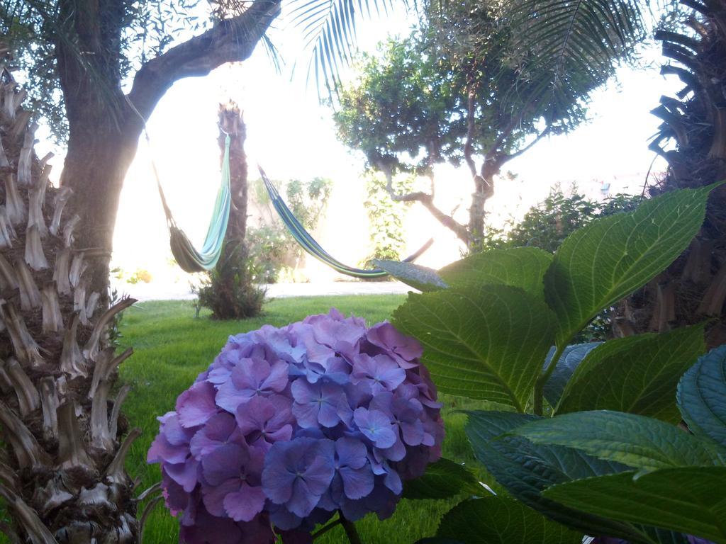 פולה Nora Guesthouse Rooms And Villas מראה חיצוני תמונה